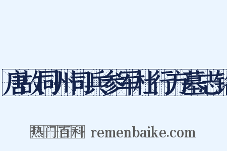 唐故同州司兵参军杜行方墓志铭是什么意思的图片